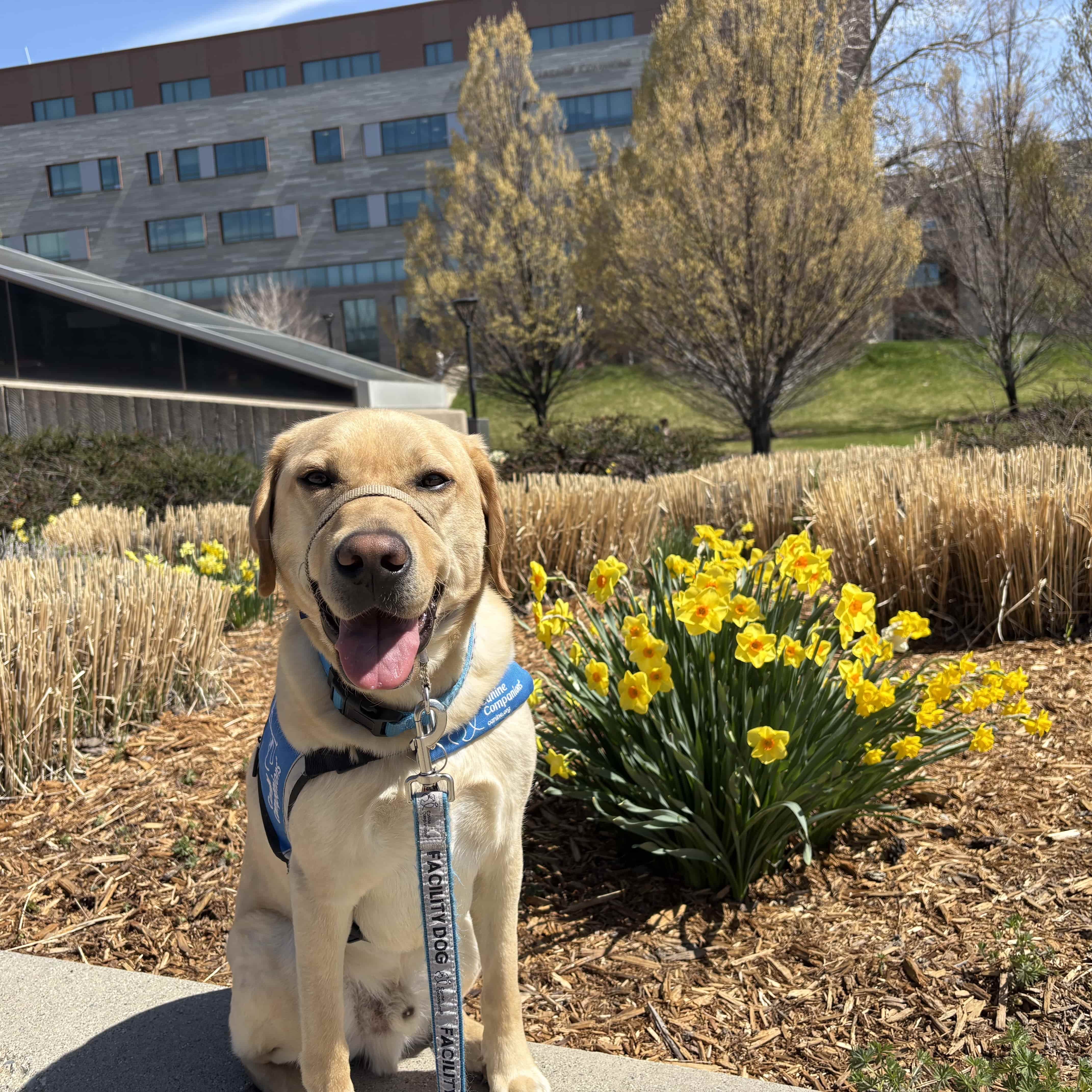 mindfulness walk
